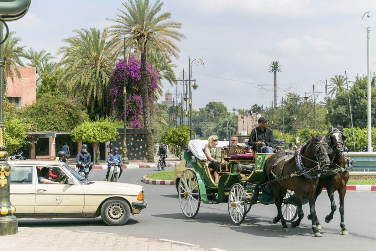 Promenade en Calèche à Marrakech - photo 2