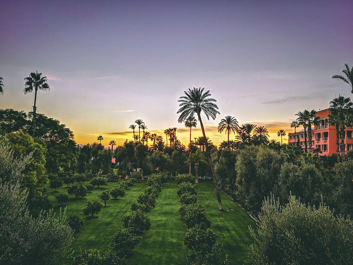 Promenade en Calèche à Marrakech - photo 3