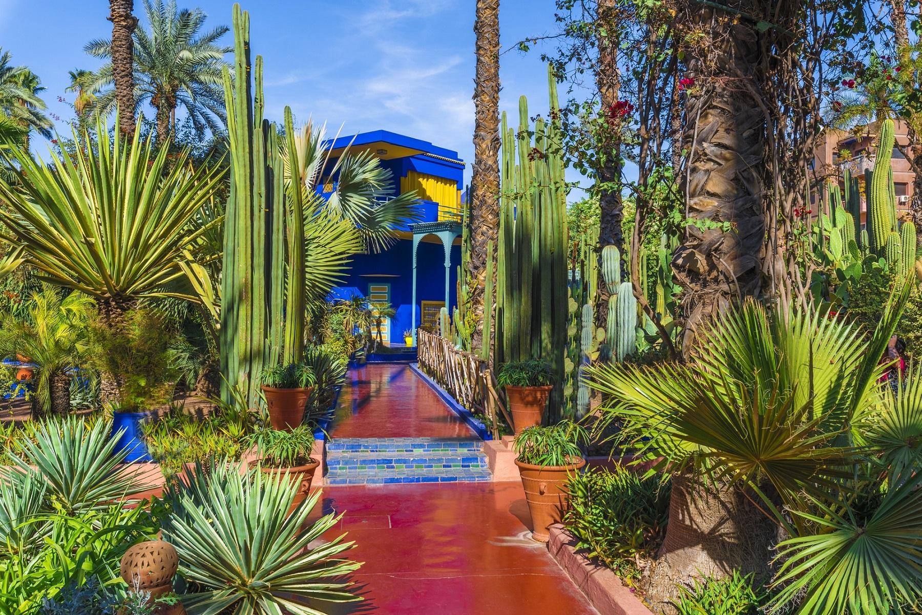 Promenade en Calèche à Marrakech - photo 4