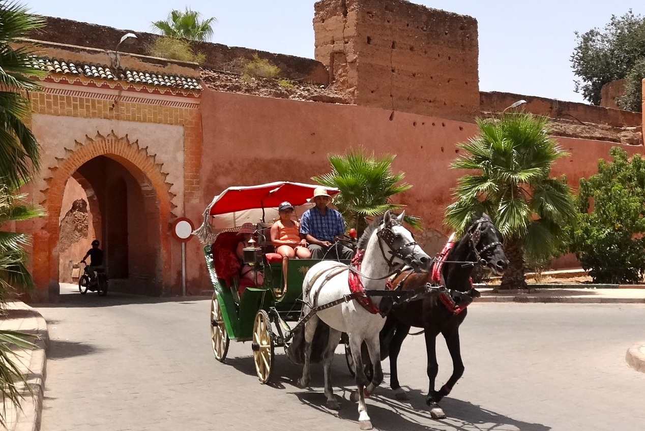Promenade en Calèche à Marrakech - photo 5