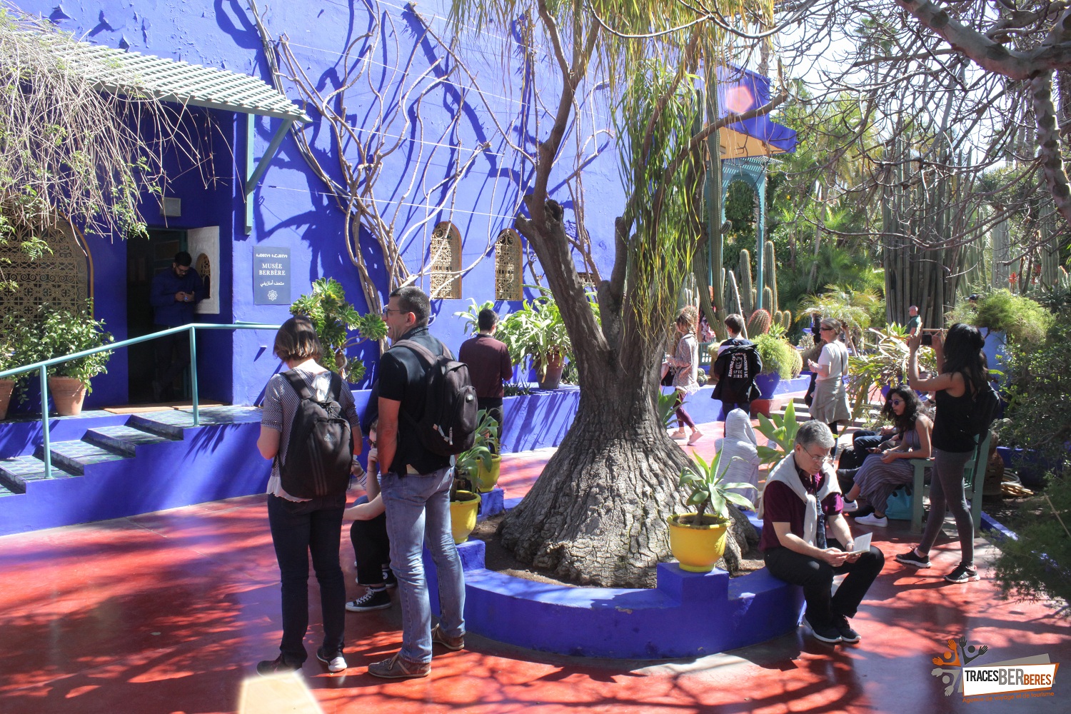 Jardins Majorelle, Musée et Remparts - photo 2