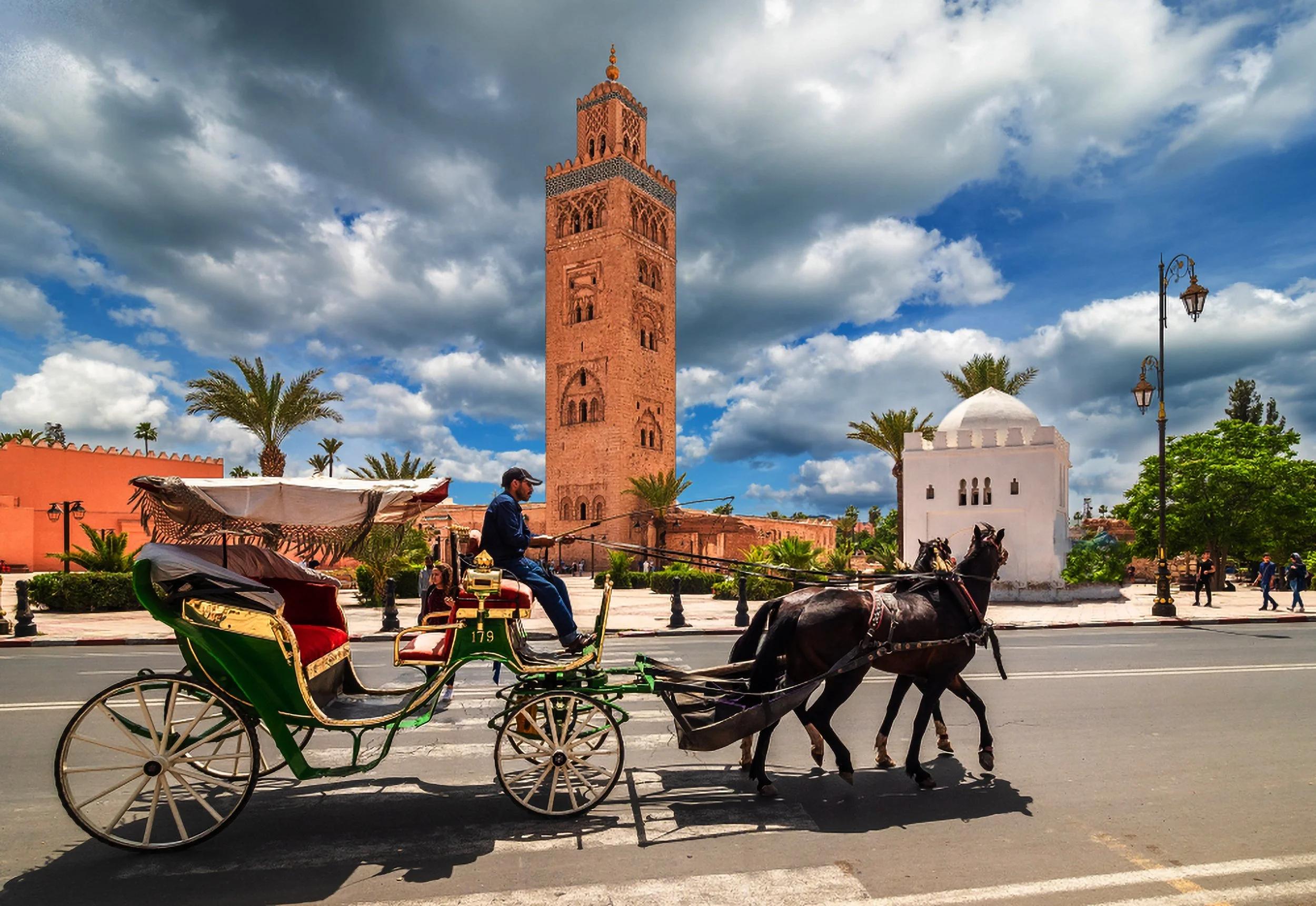 TOUR EN CALÈCHE ET VISITE DES JARDINS DE MARRAKECH - photo 1