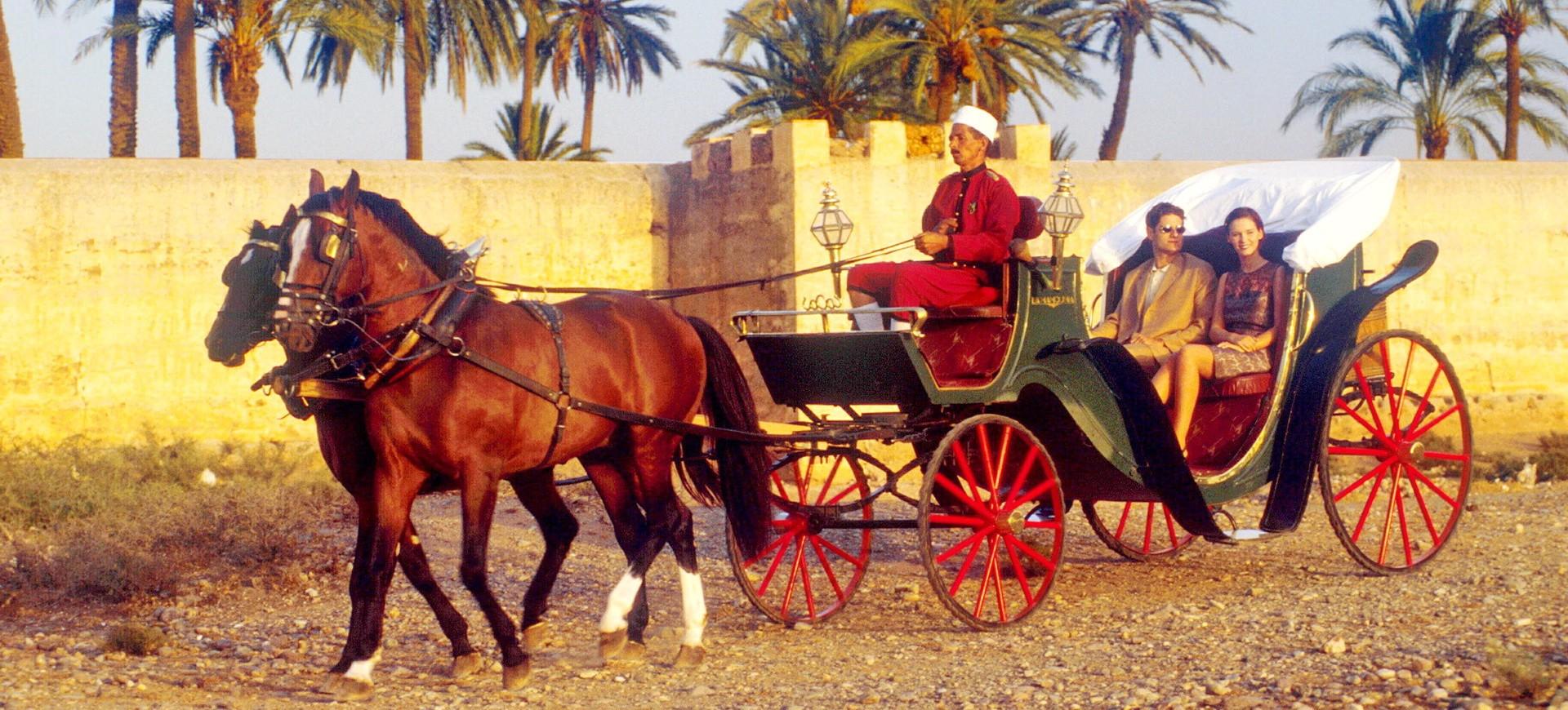 TOUR EN CALÈCHE ET VISITE DES JARDINS DE MARRAKECH - photo 2