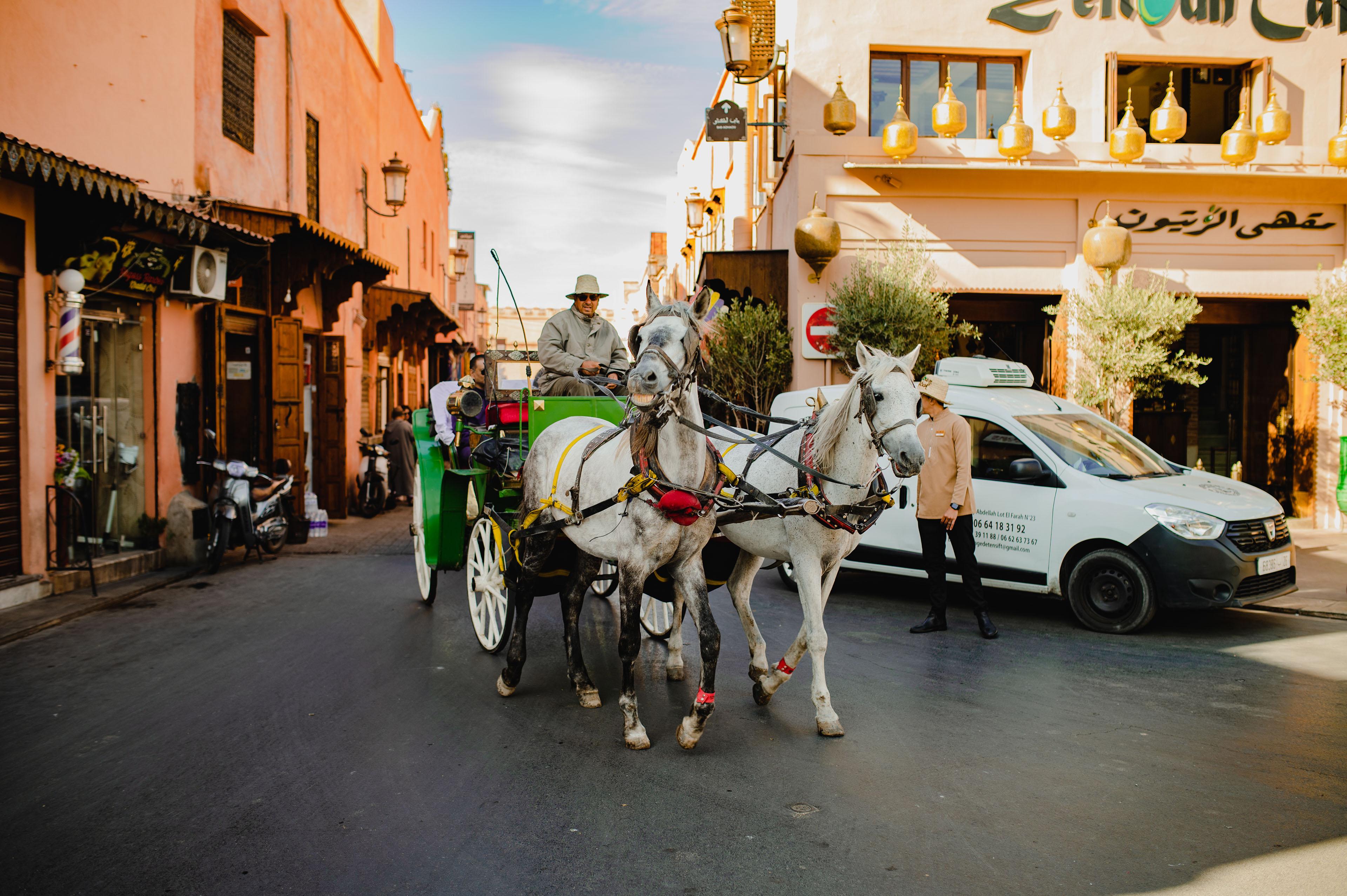 TOUR EN CALÈCHE ET VISITE DES JARDINS DE MARRAKECH - photo 3