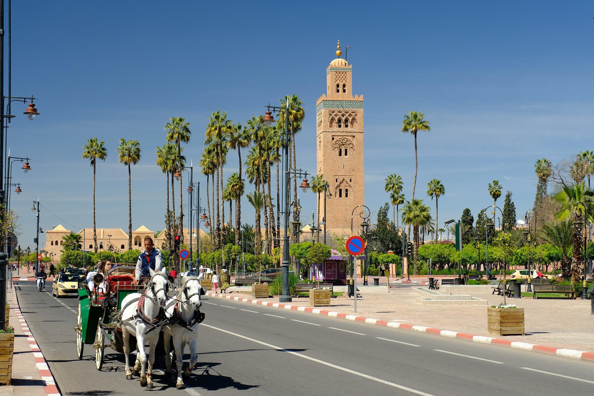 TOUR EN CALÈCHE ET VISITE DES JARDINS DE MARRAKECH - photo 4