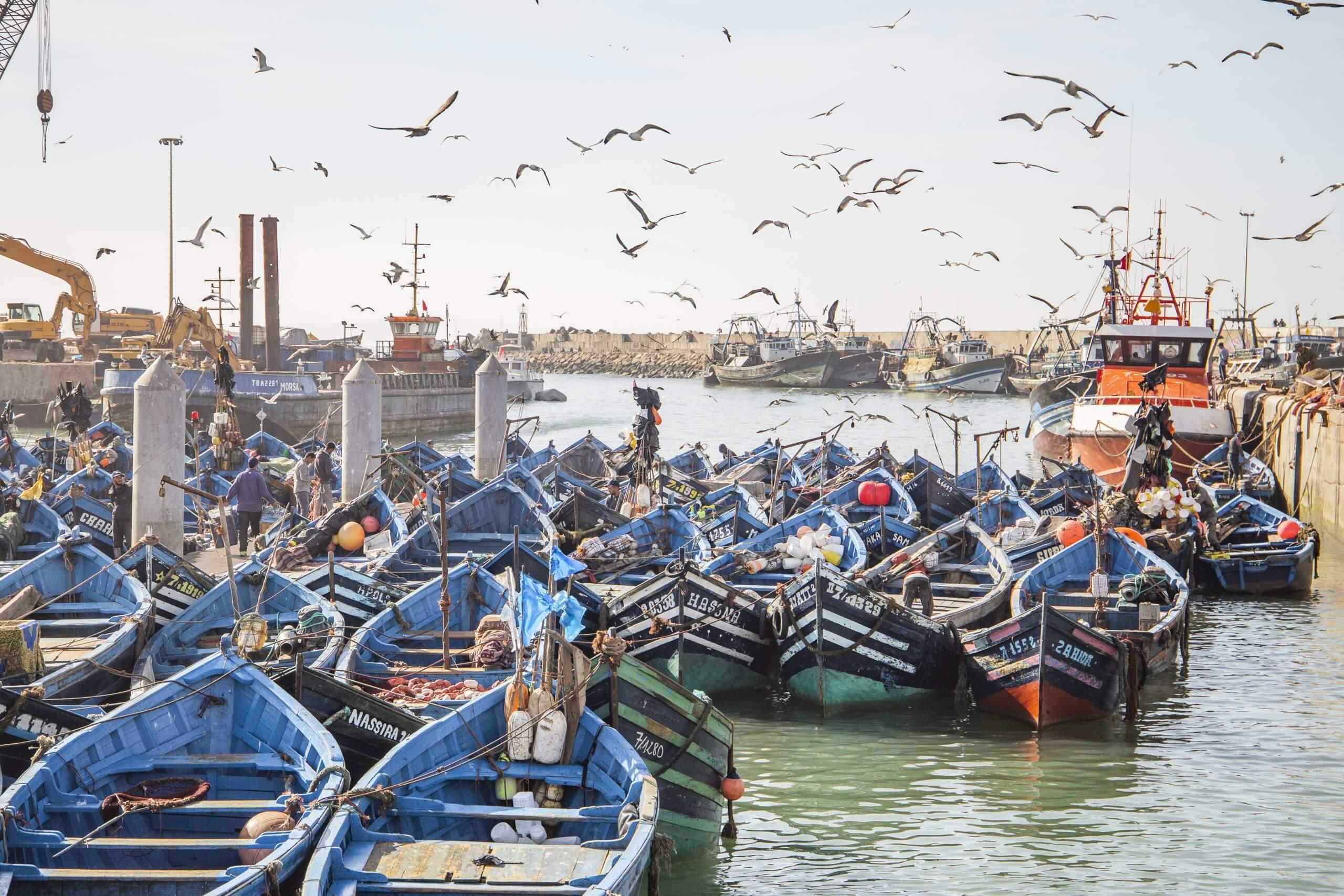 VISITE PRIVÉE JOURNÉE COMPLÈTE D'ESSAOUIRA - photo 3