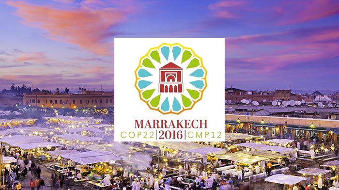 COP 22