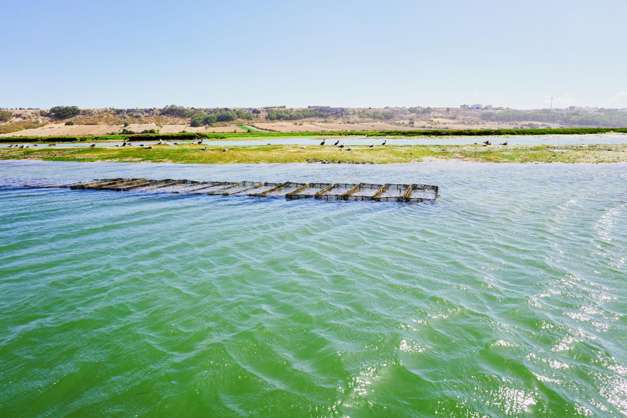 L'Échappée Atlantique & Charme d'Essaouira - photo 4