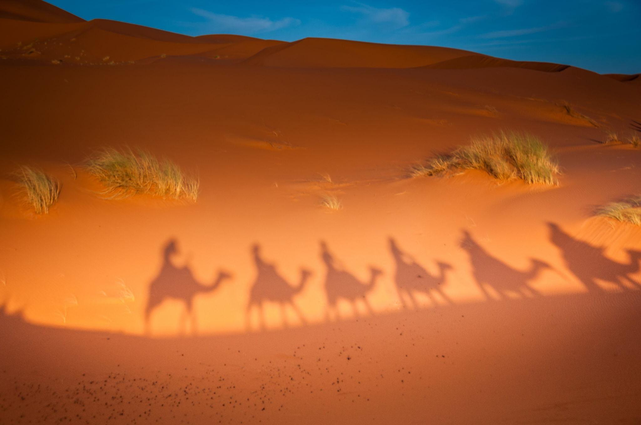Circuit 6 jours en groupe vers Zagora & Merzouga - photo 2