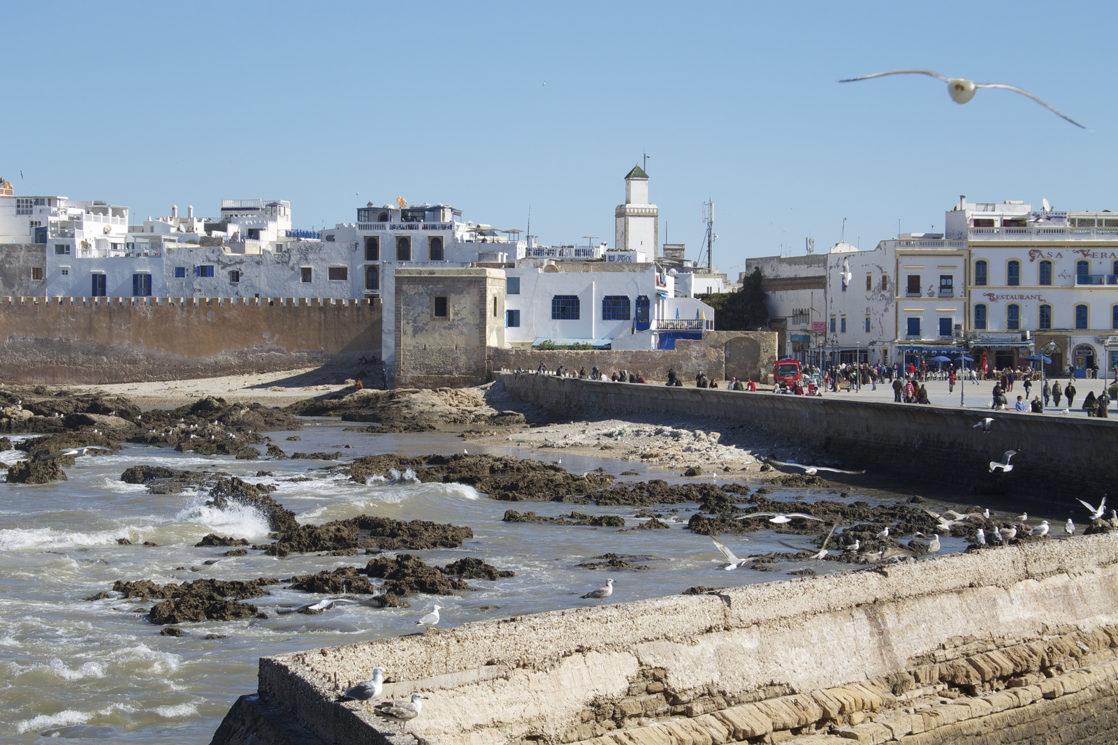 Excursion Essaouira - Mogador - photo 3