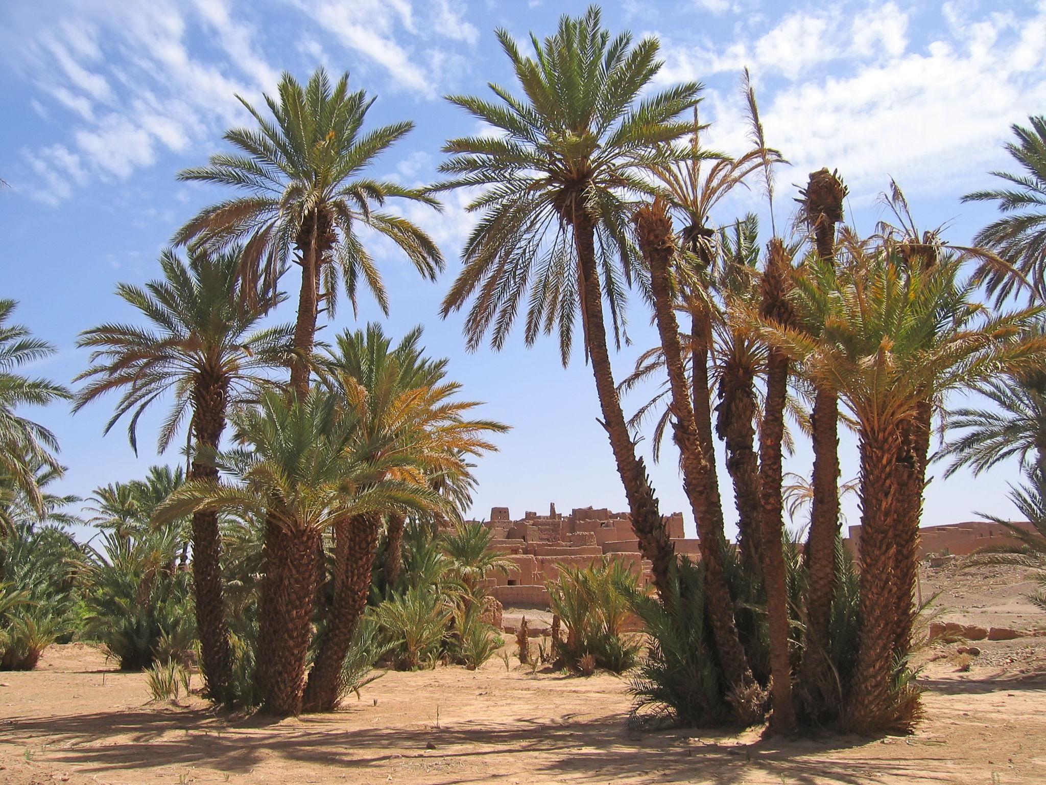 Ouarzazate - Agdez - Vallée du Draa - Zagora