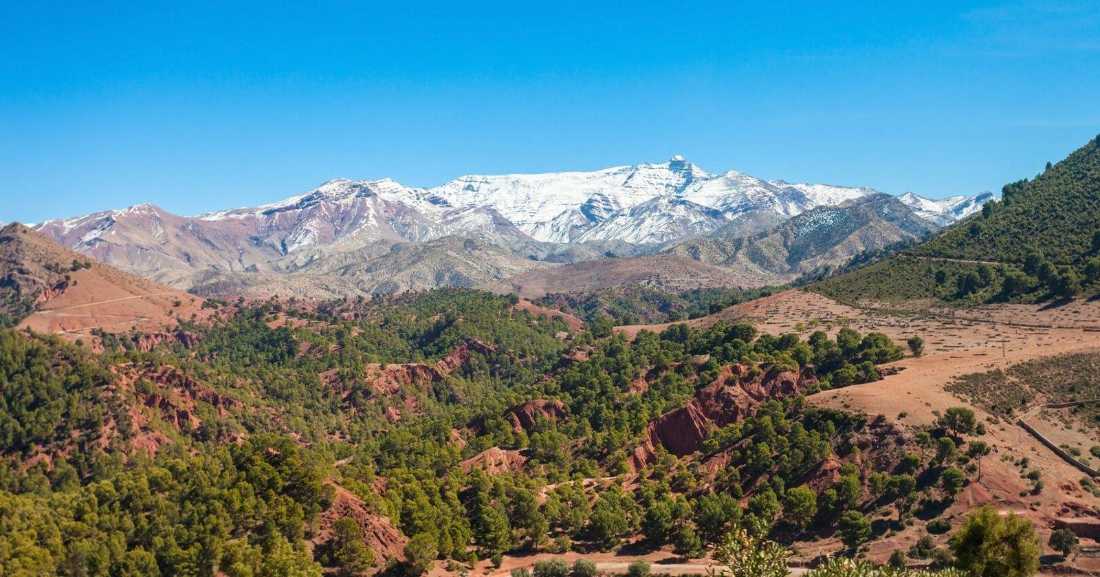 Marrakech Exploration Day