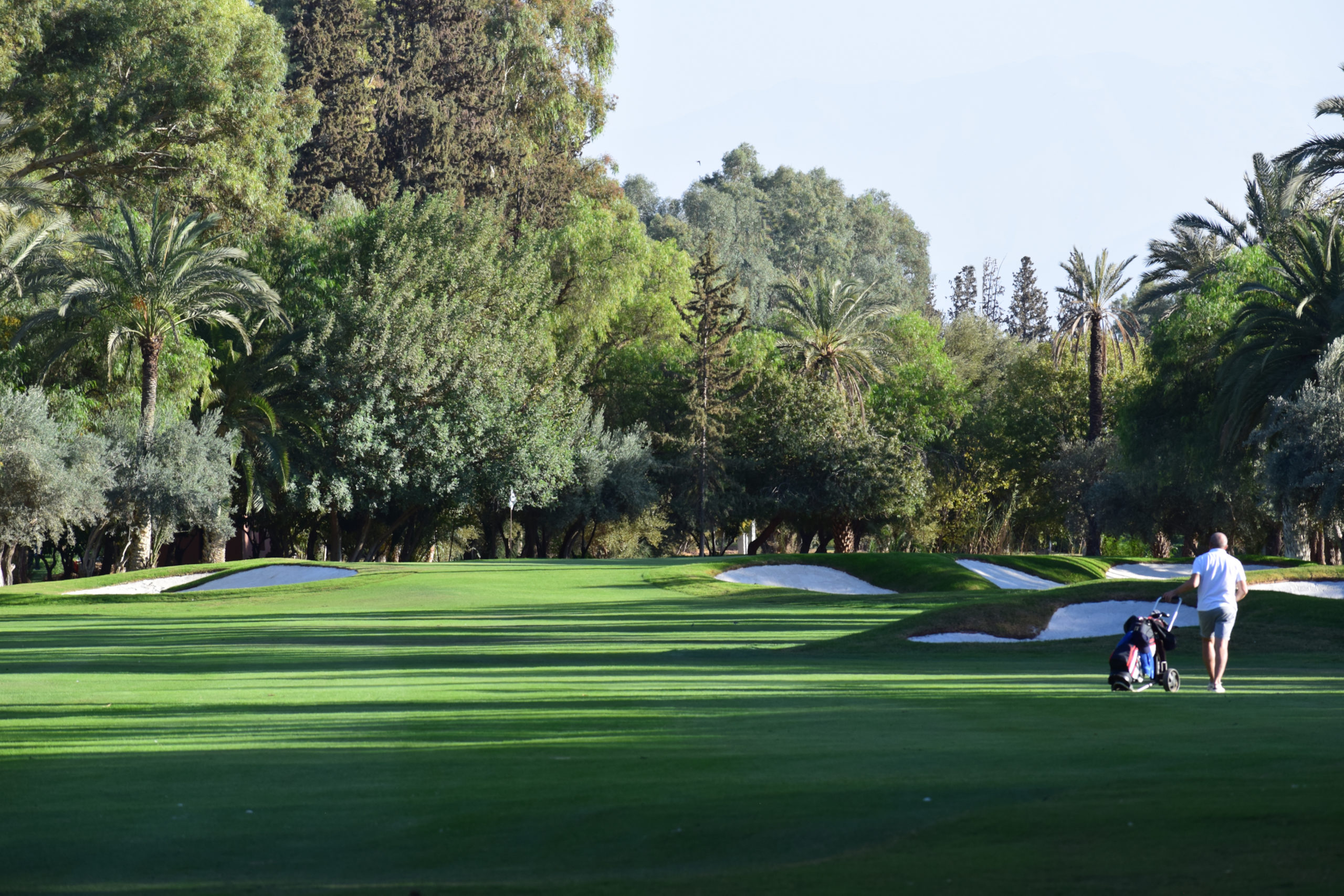 Marrakesh – Royal Golf course