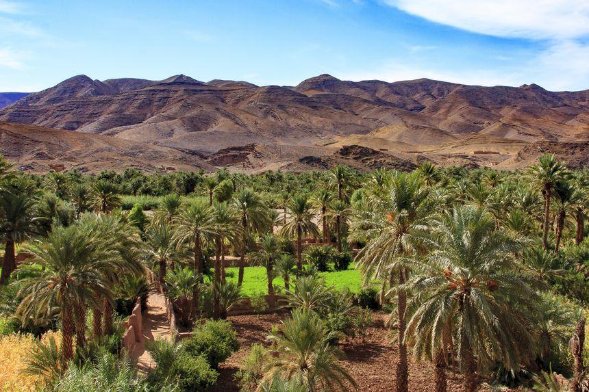 Zagora – La Vallée de Draa – Ouarzazate – Marrakech